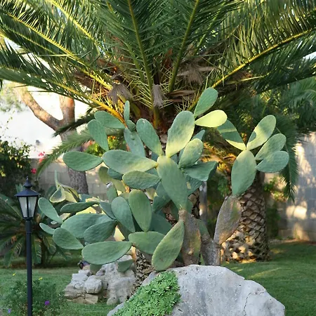 Lecce Guesthouse