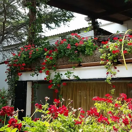 Lecce Guesthouse 2*